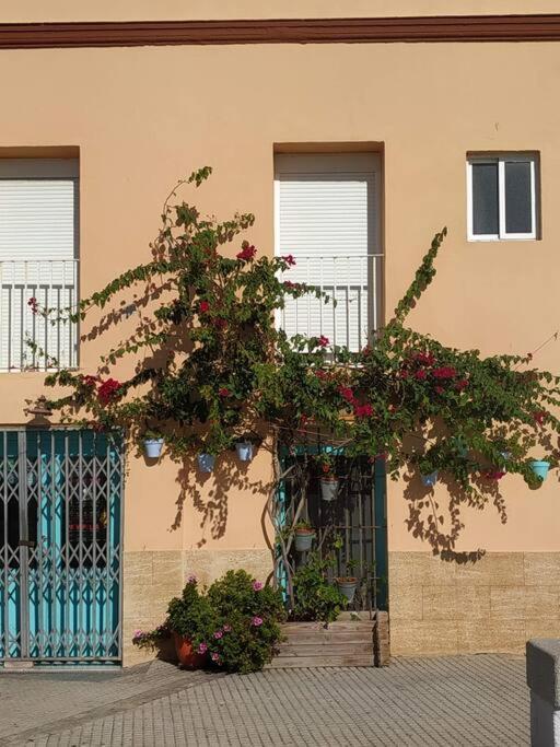 Apartamento Canastas Centro Cádis
